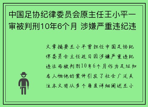 中国足协纪律委员会原主任王小平一审被判刑10年6个月 涉嫌严重违纪违法